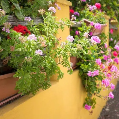 La Casa Di Nonna Garau * Bari Sardo
